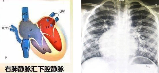 20220330-1.jpg 20220330-1.jpg