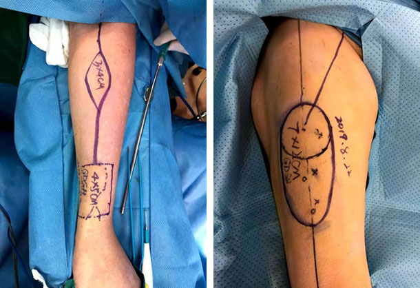 tsyl-4.jpg tsyl-4.jpg