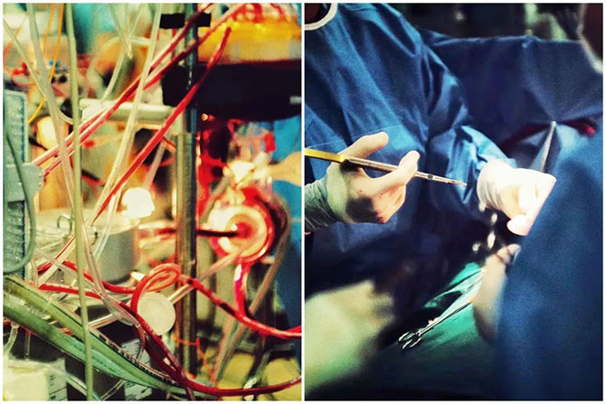 mt_1128-3.jpg mt_1128-3.jpg