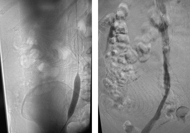 20210930-5.jpg 20210930-5.jpg