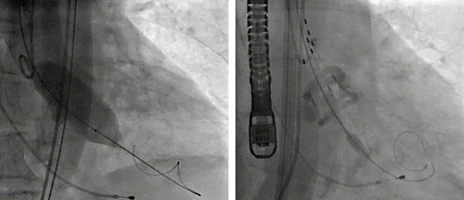 20211202-11.jpg 20211202-11.jpg