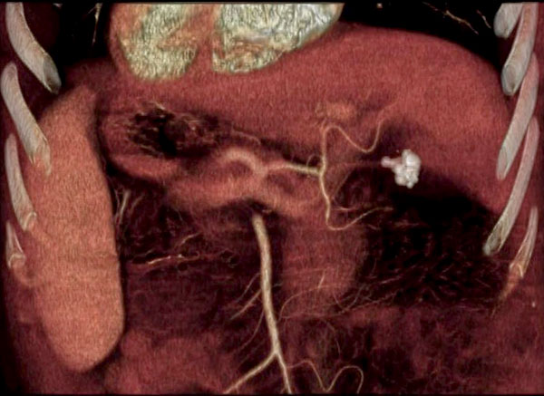 20211209-1.jpg 20211209-1.jpg