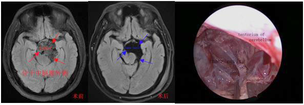 20220316-3.jpg 20220316-3.jpg