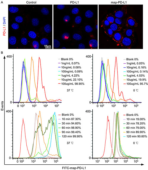 20220420-12.jpg 20220420-12.jpg