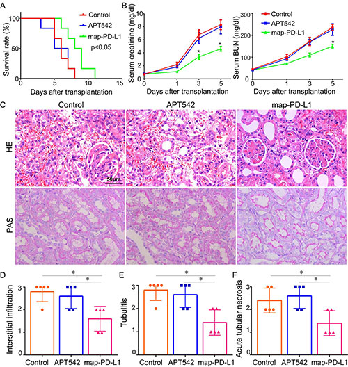 20220420-14.jpg 20220420-14.jpg