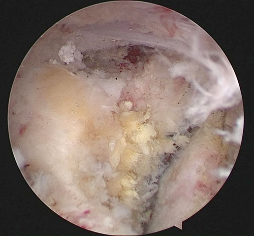 20220512-22.jpg 20220512-22.jpg