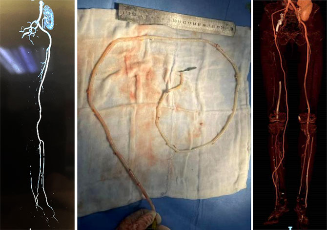 20220818-2.jpg 20220818-2.jpg