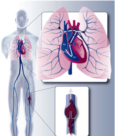 xg-t53.jpg xg-t53.jpg