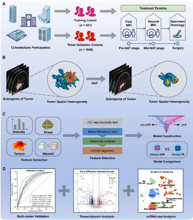 20250217-3.jpg 20250217-3.jpg