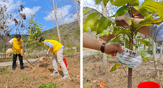 20250310-10.jpg 20250310-10.jpg