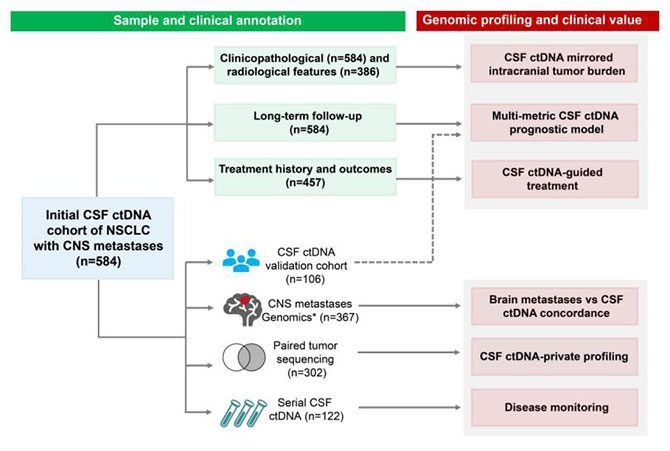 20250318-3.jpg 20250318-3.jpg