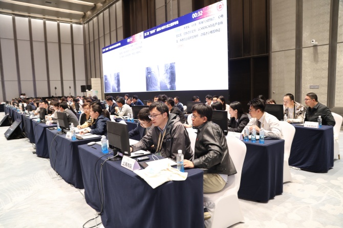 20250331-12.jpg 20250331-12.jpg