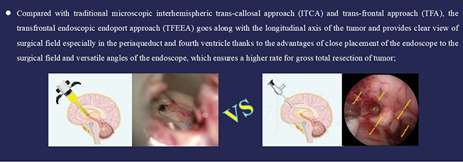 20250409-6.jpg 20250409-6.jpg