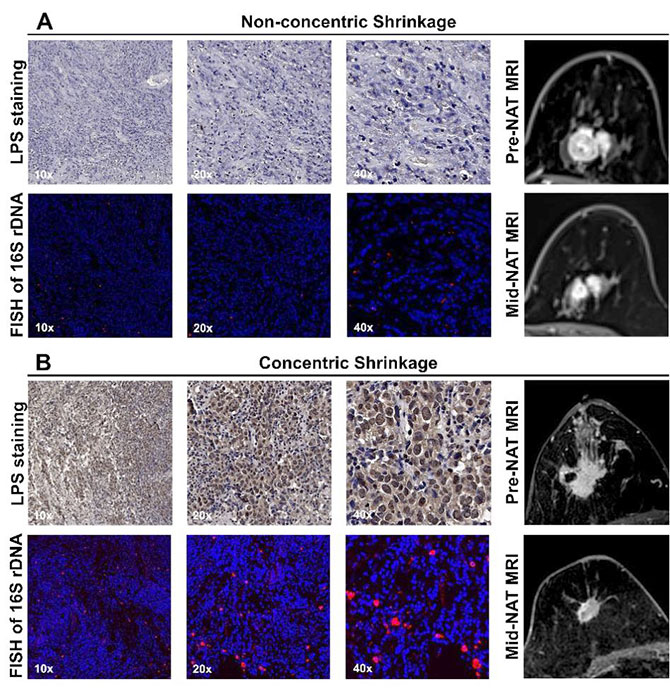 20250916-2.jpg 20250916-2.jpg