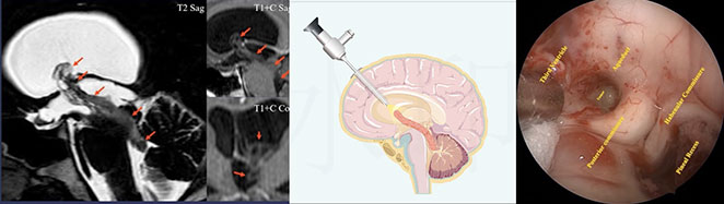 20250929-9.jpg 20250929-9.jpg