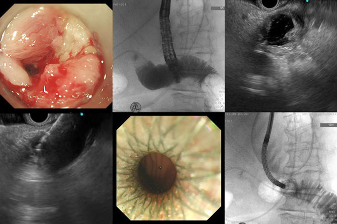 20260330-1.jpg 20260330-1.jpg
